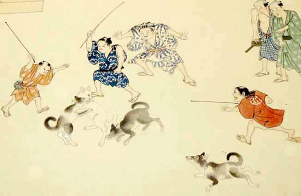 生類憐みの令